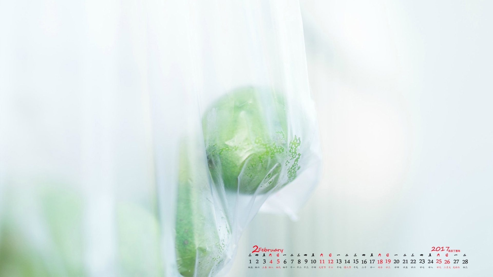 2月 小清新 水果