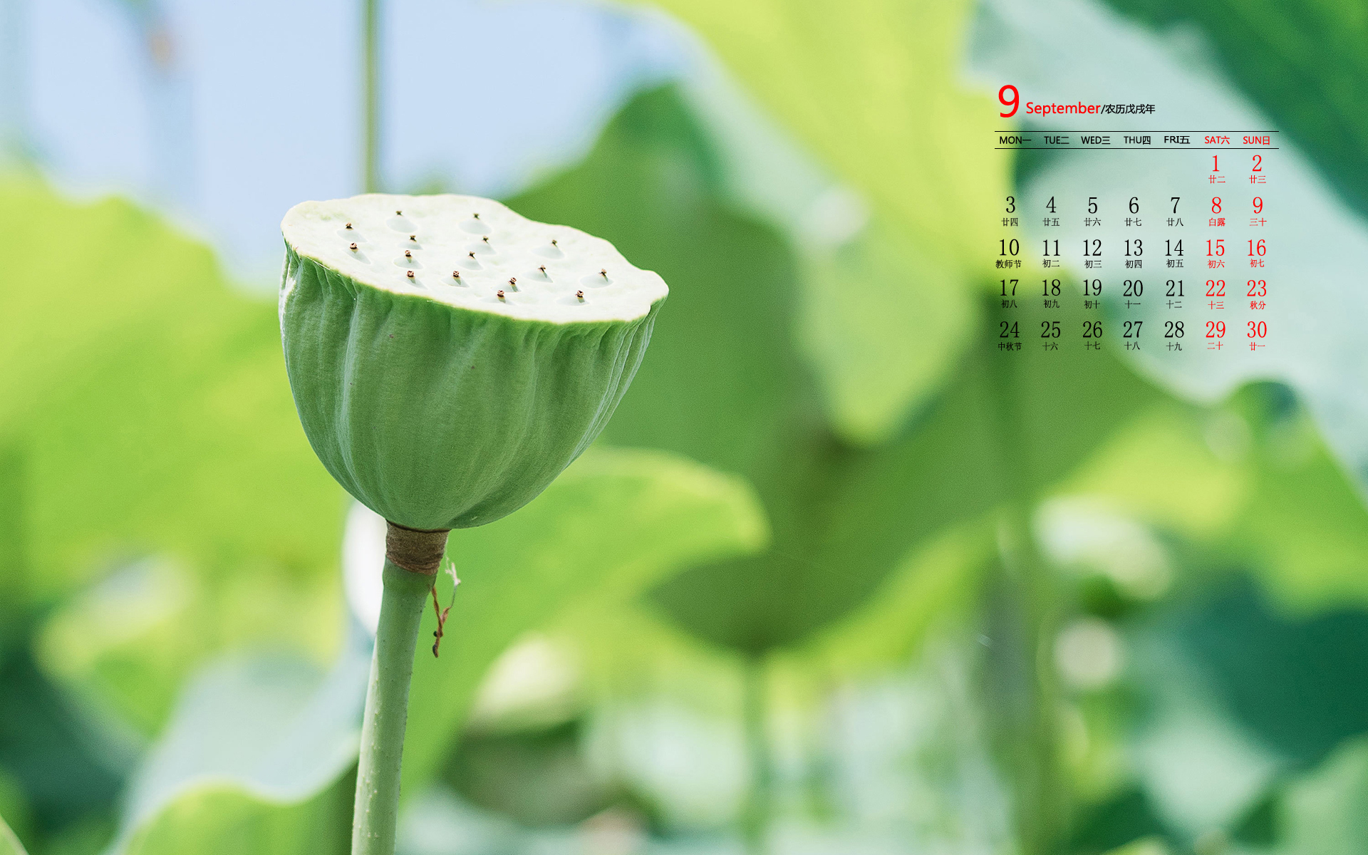 日历  9月  2018年9月