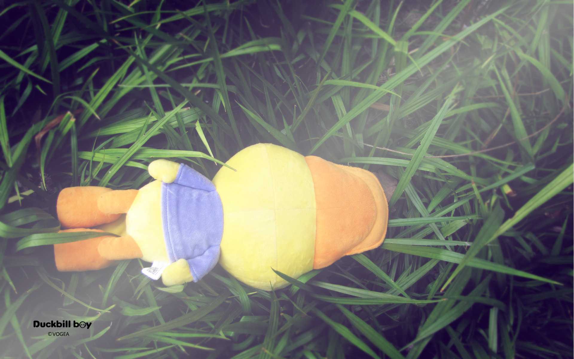 鸭嘴兽男孩 公仔