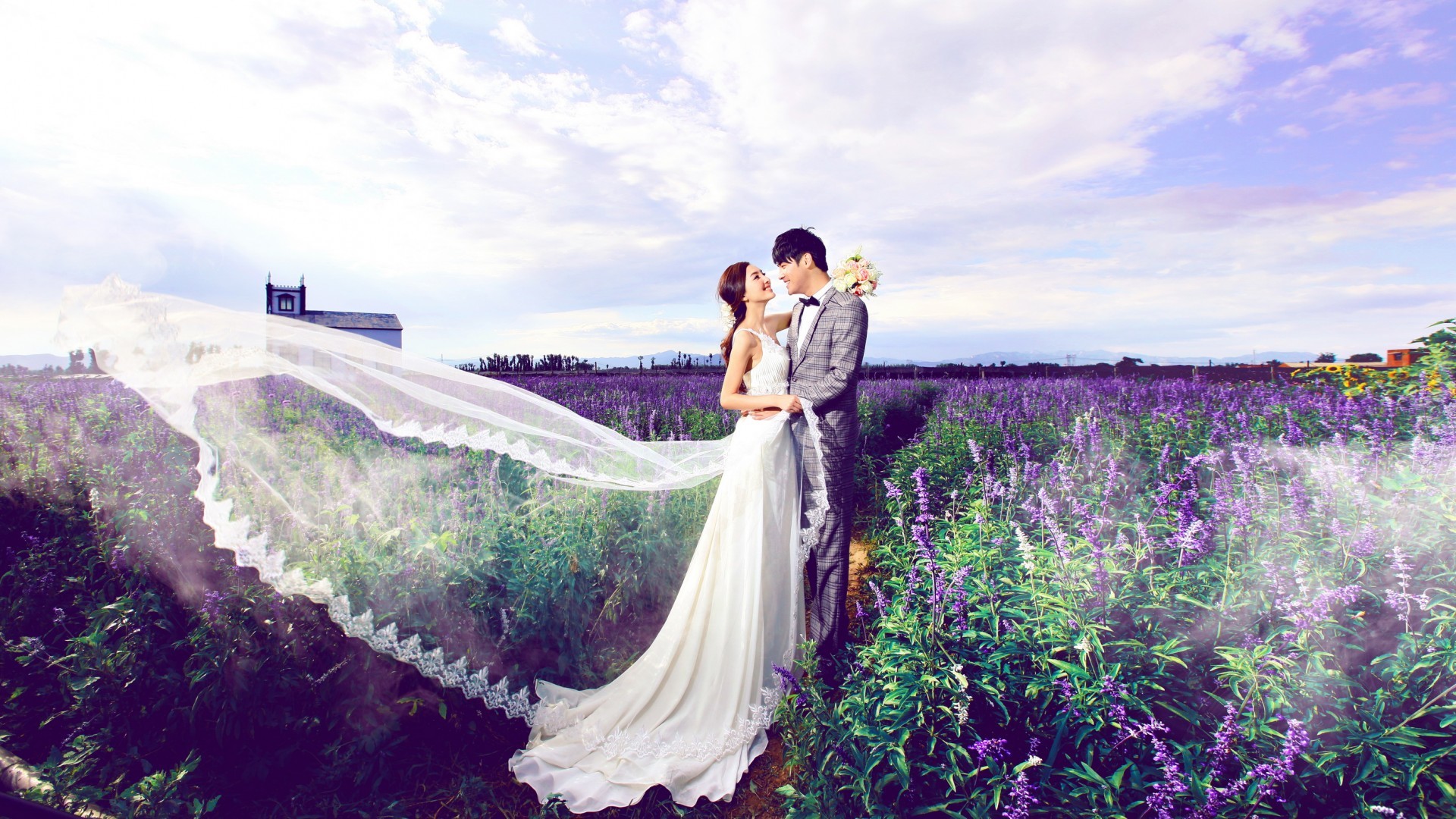 婚纱照 薰衣草 花海