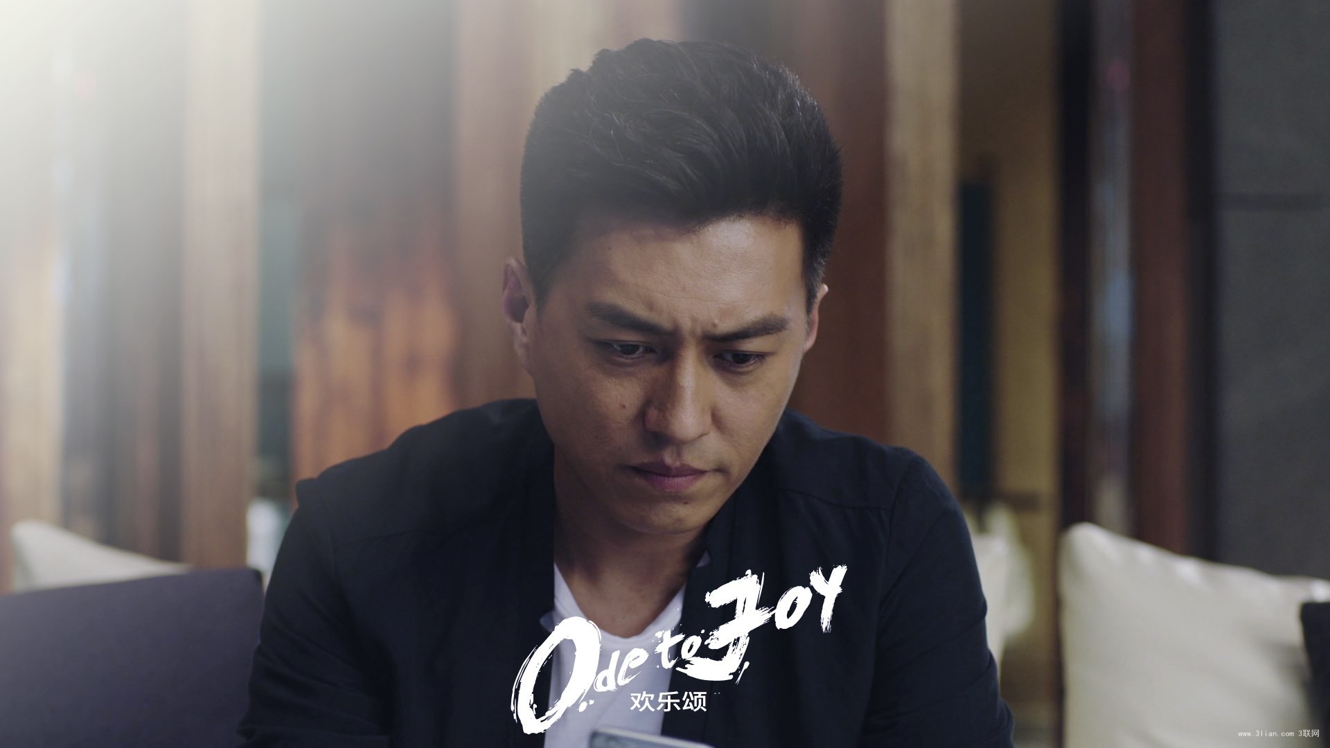 欢乐颂 爱情剧 靳东 谭宗明 都市励志