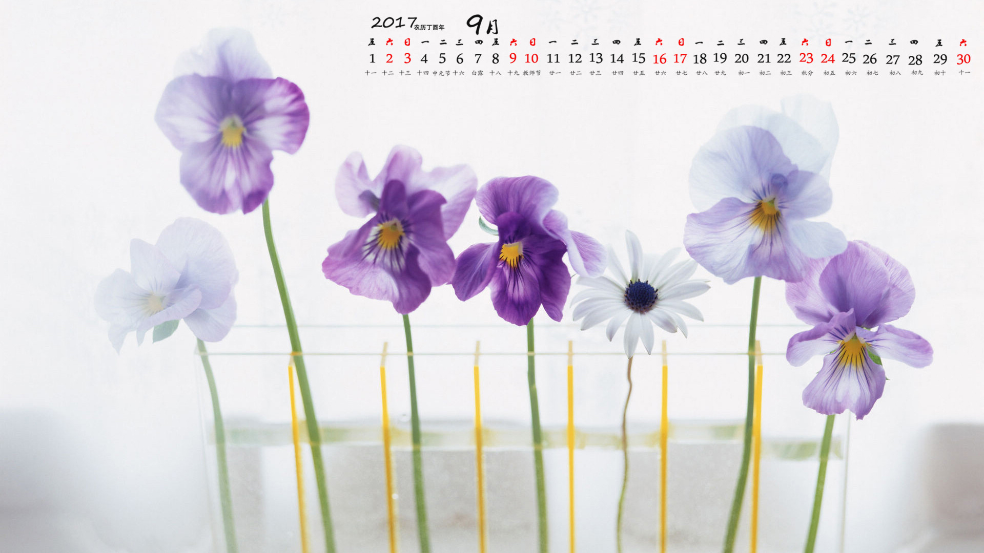 月历 2017年9月