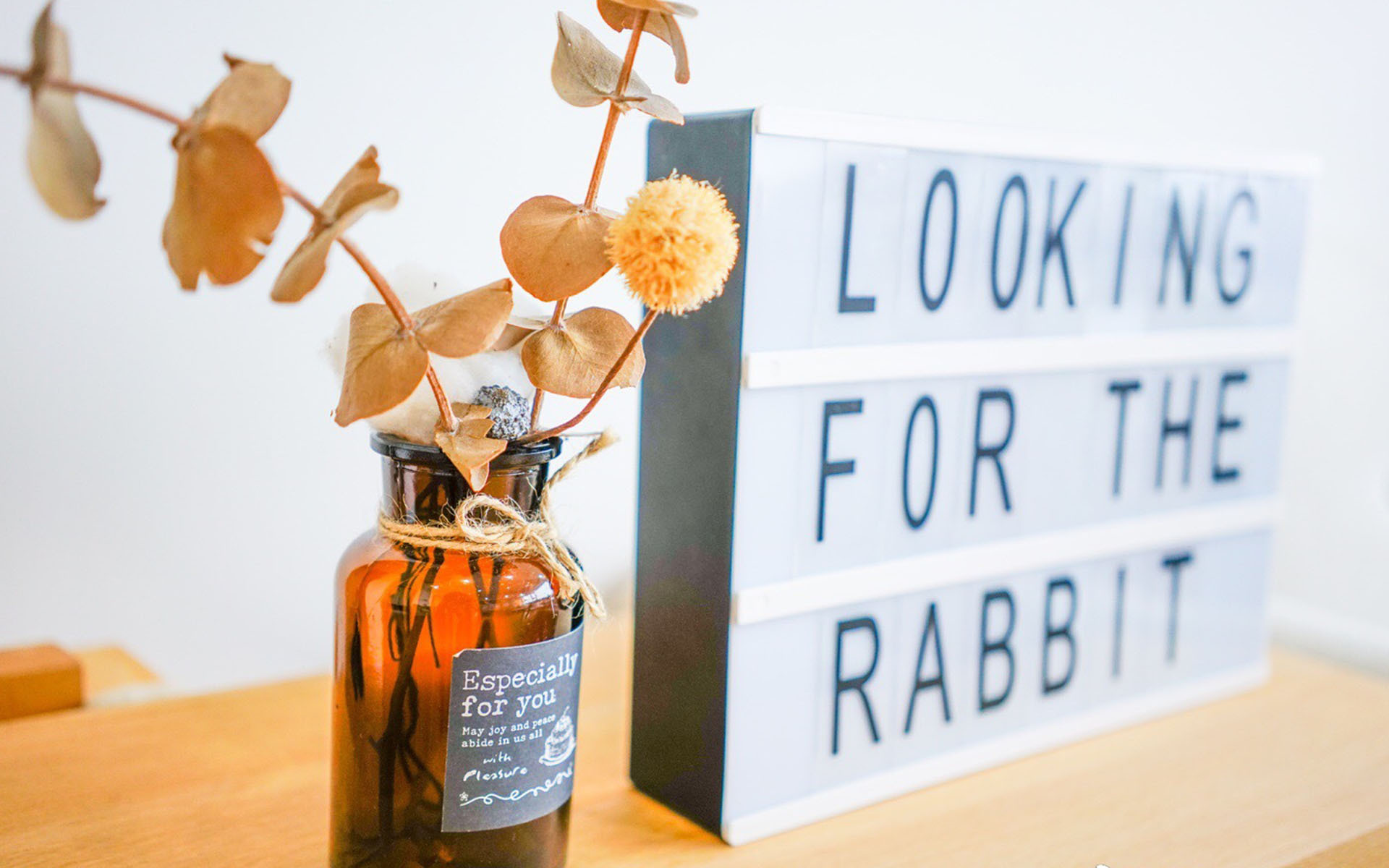 小清新 温馨一刻