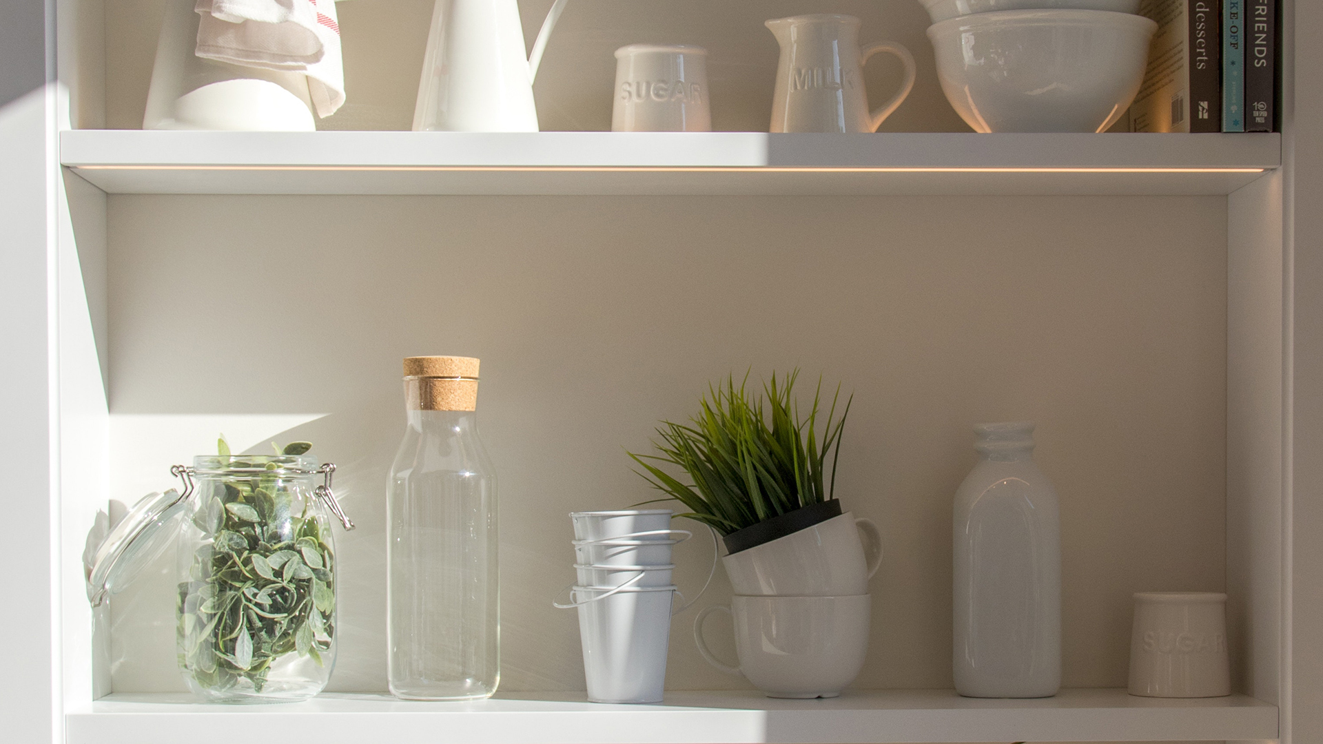 小清新 静物写真 植物 玻璃瓶