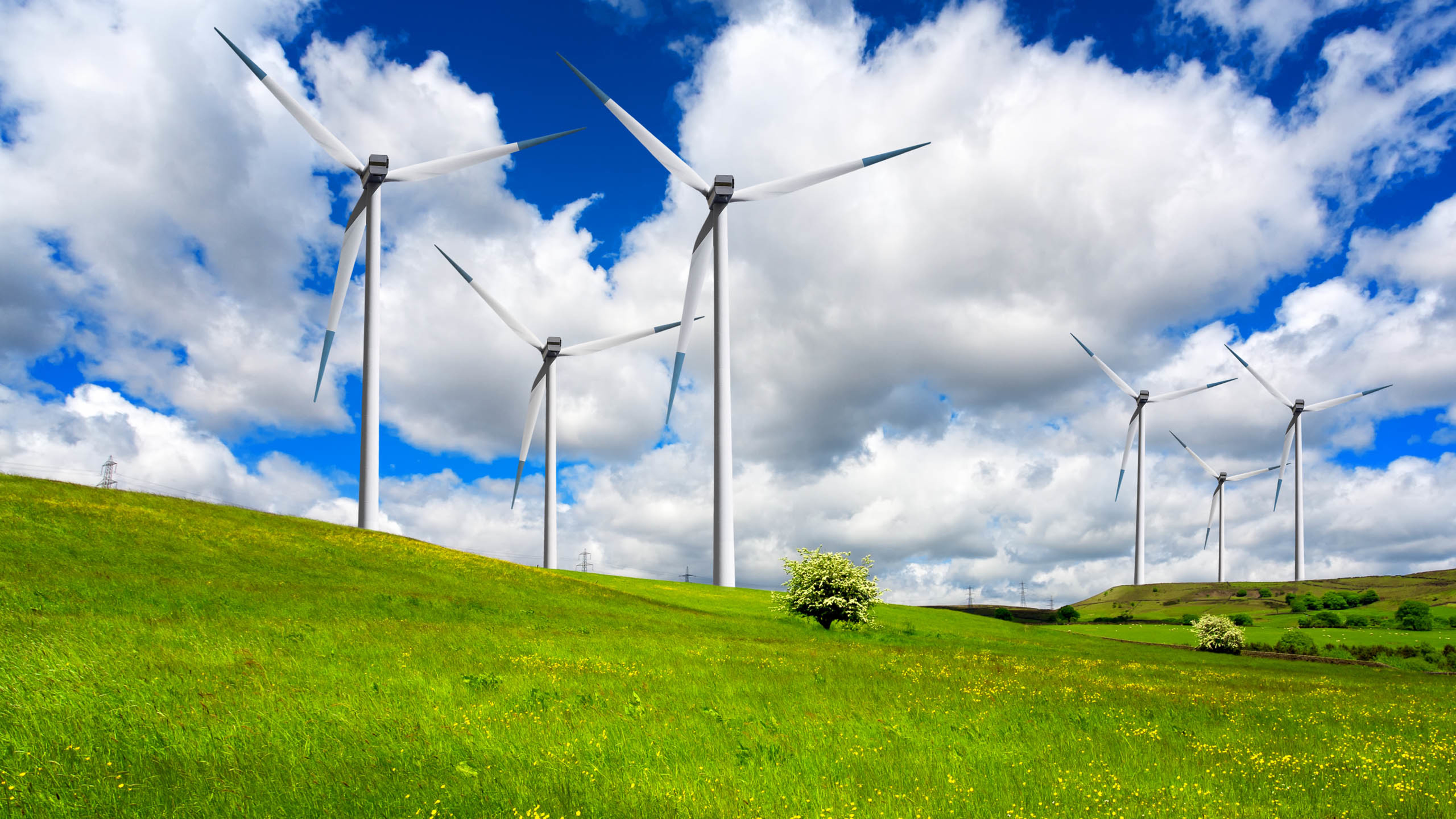 风车 草地 蓝天 白云