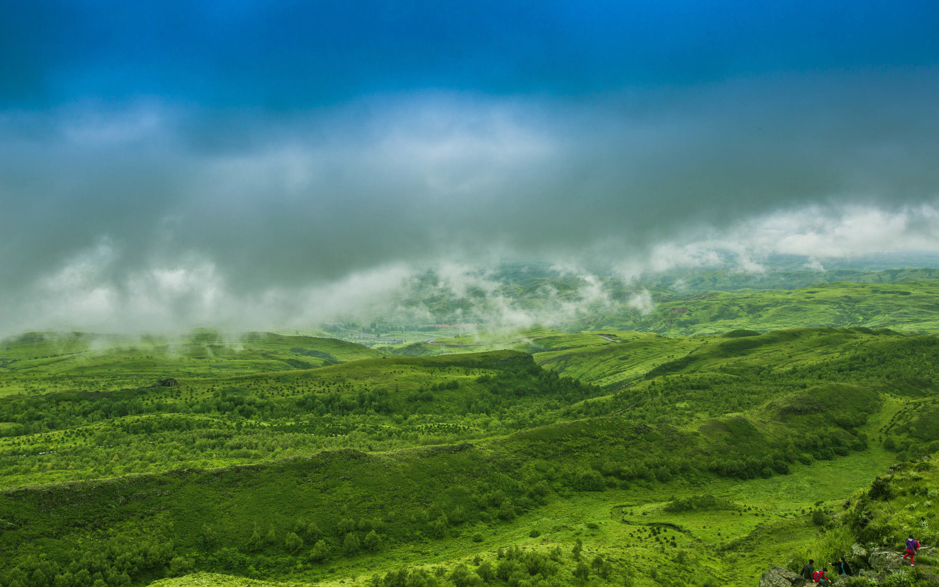 小清新 护眼壁纸 草原 绿色