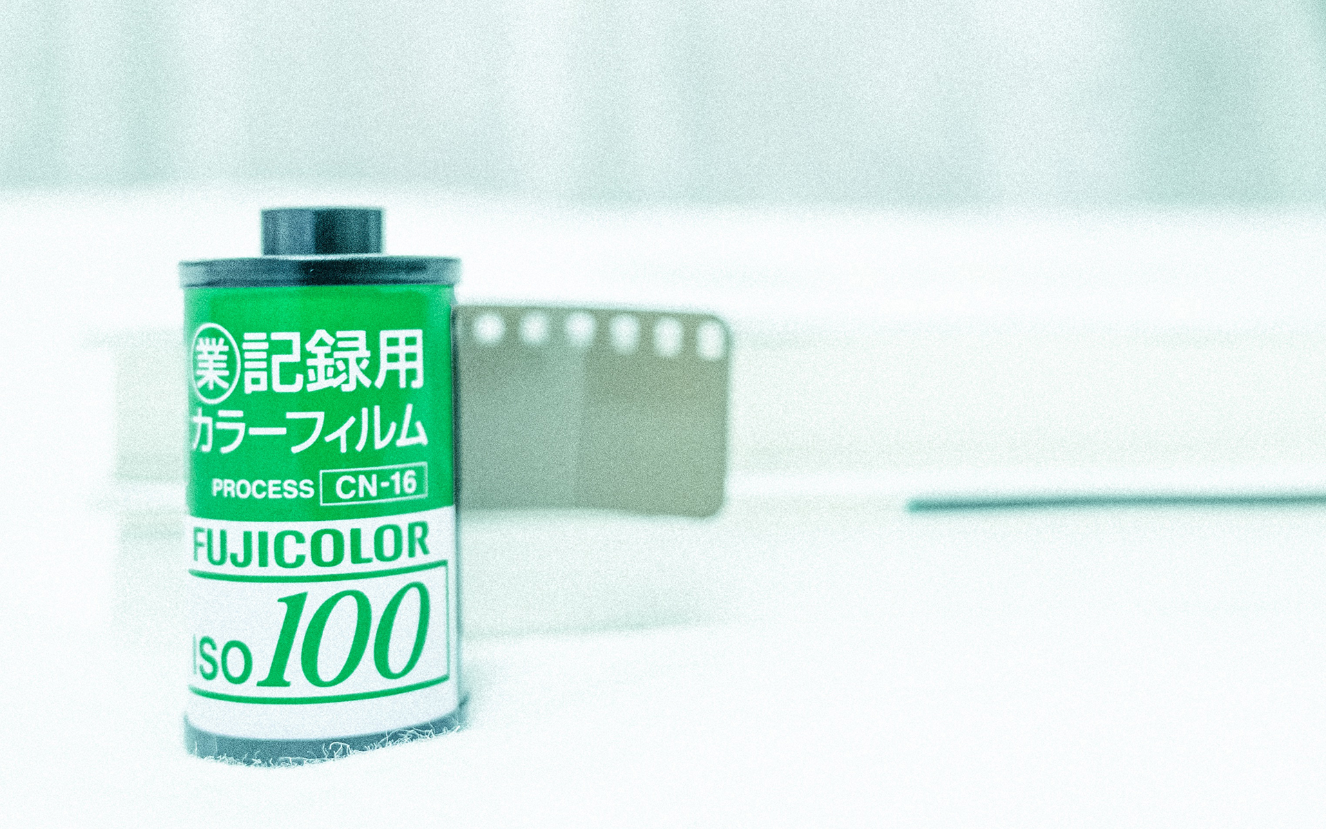 静物写真  日系清新养眼高清桌面