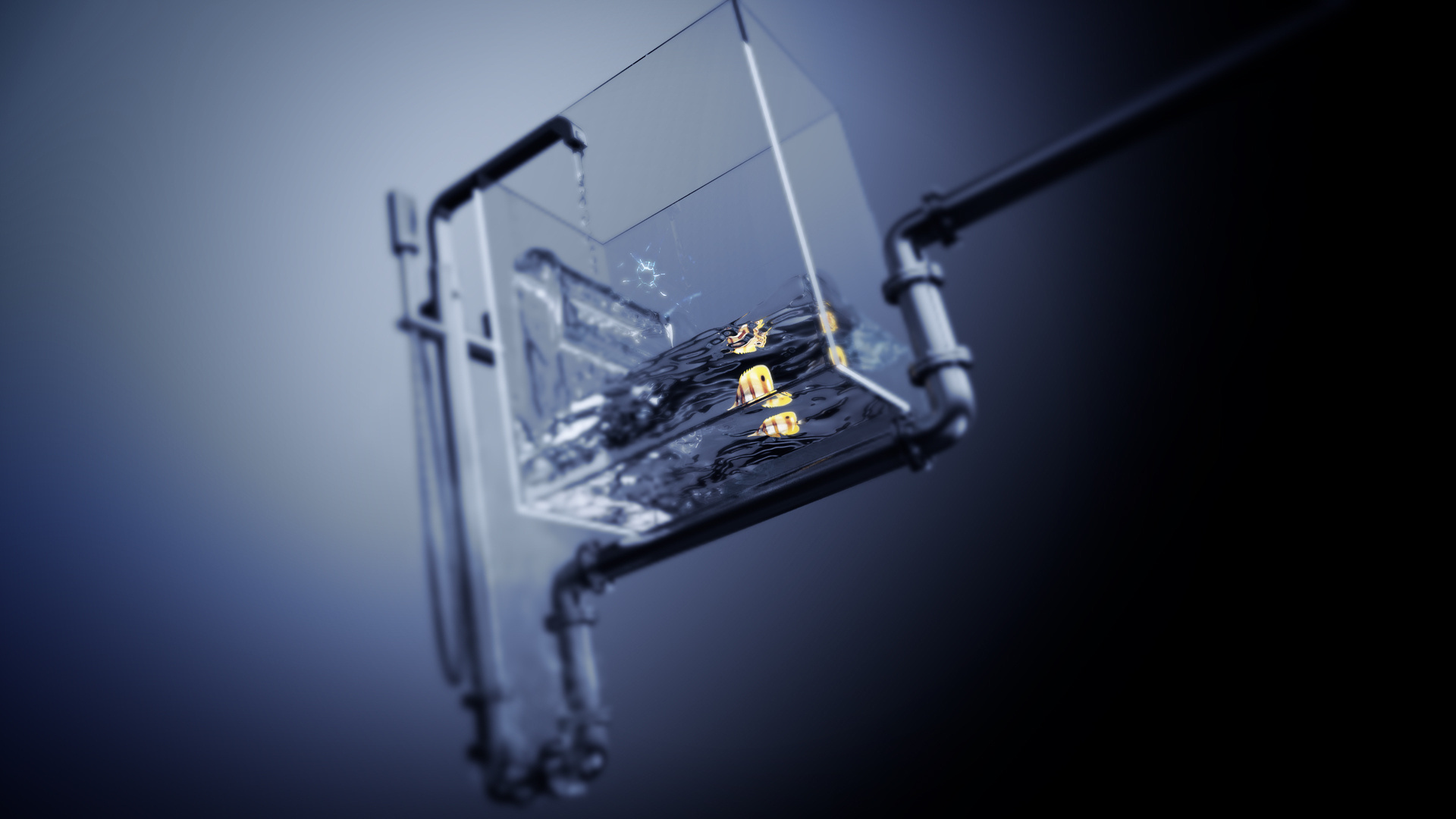 趣味 3D静态 鱼缸