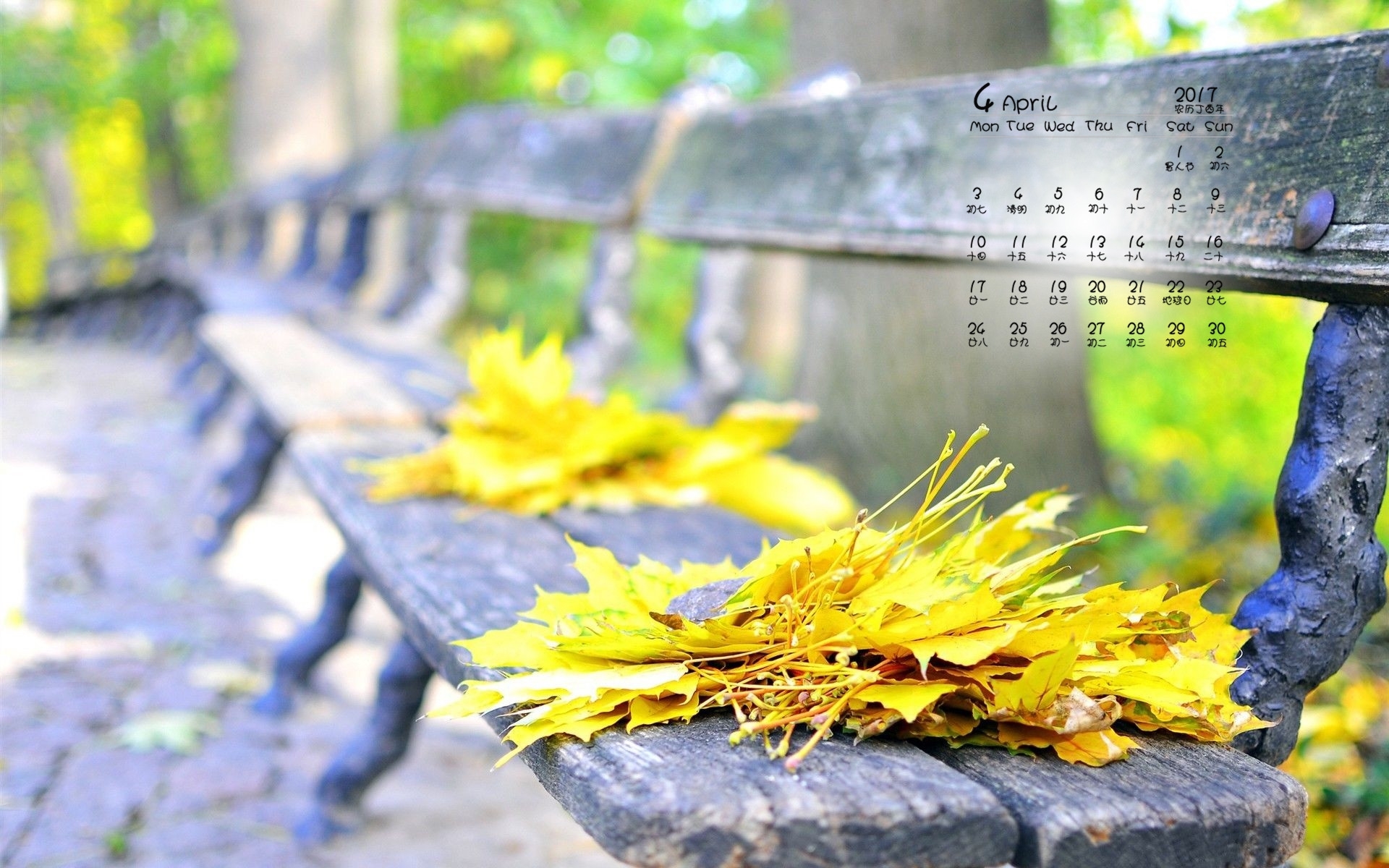 2017年4月 秋天 落叶 长椅