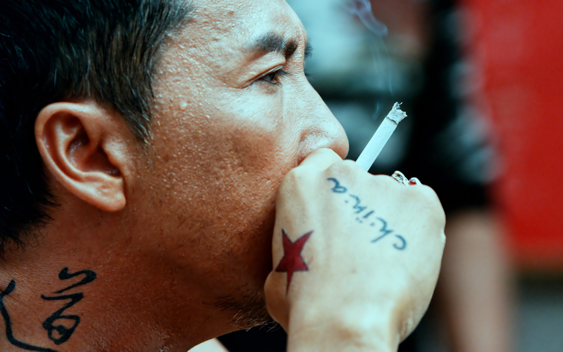 甄子丹 明星 帅哥 肌肉男 打星