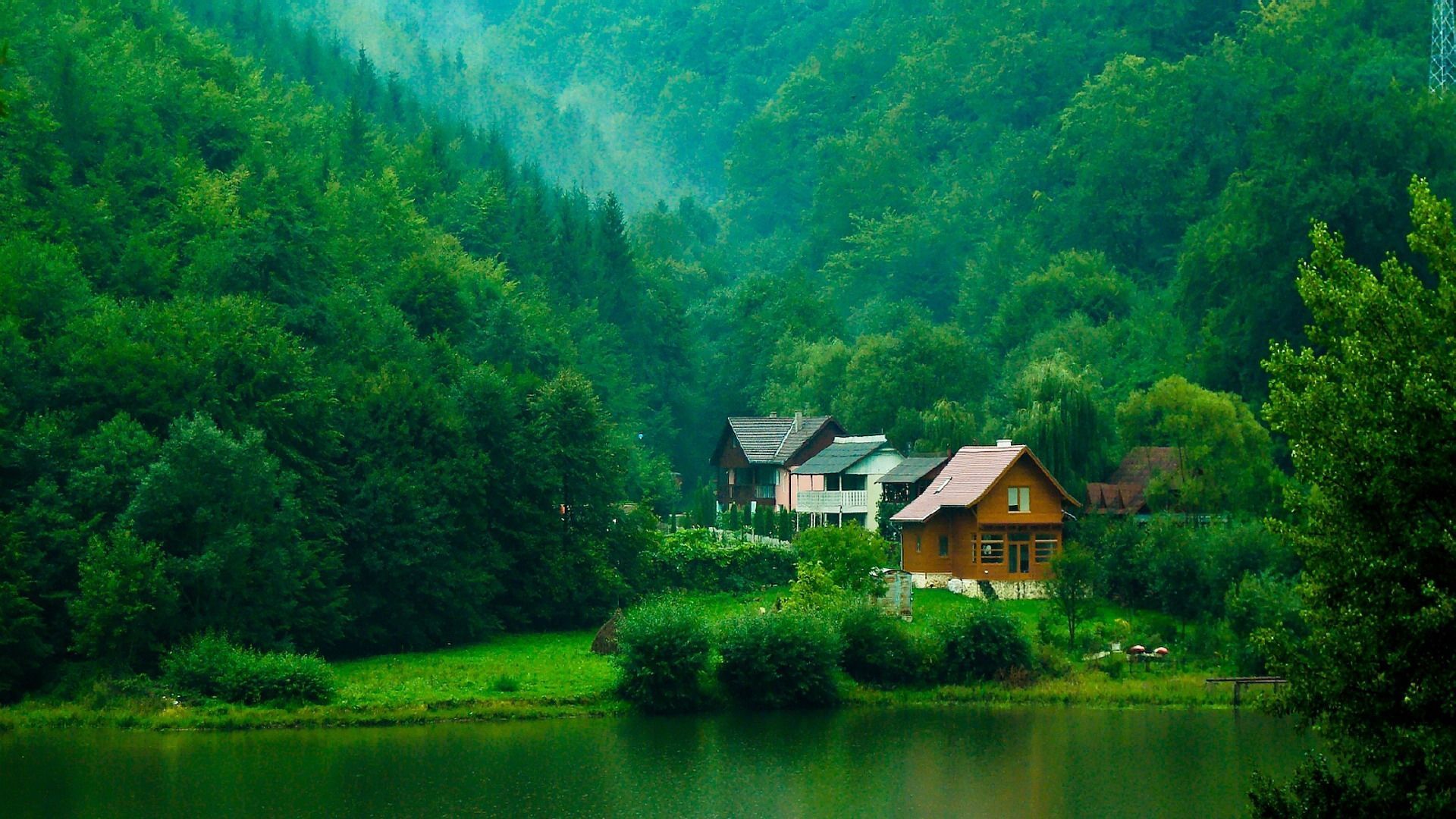 春意盎然 森林 湖水 小屋