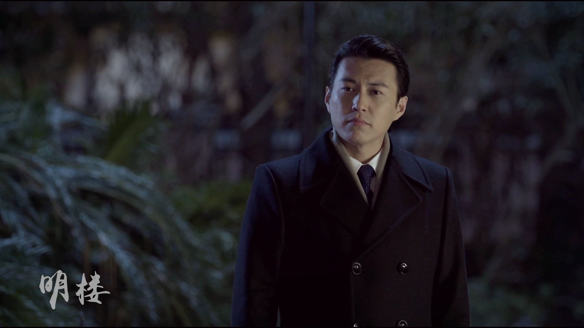 伪装者 悬疑 谍战剧 靳东