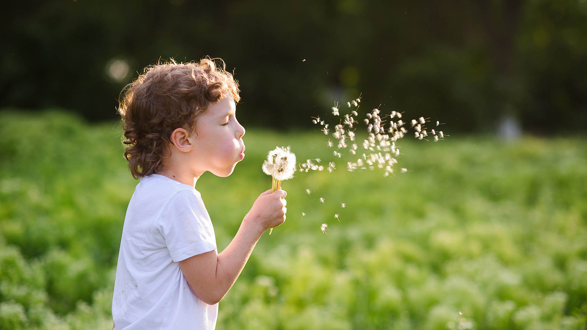 baby秀 萌娃 蒲公英