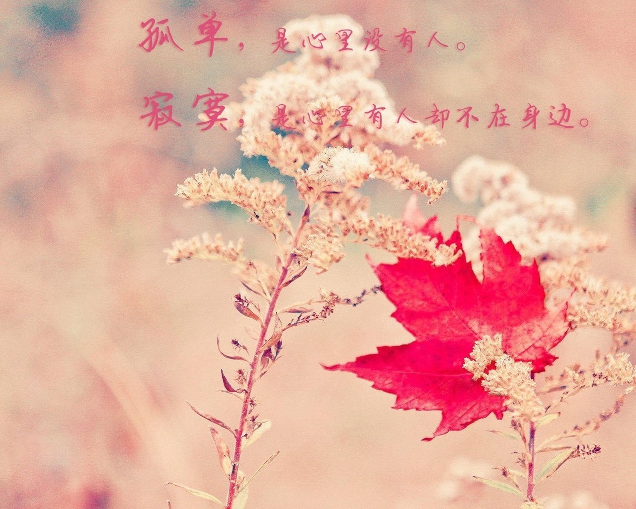 爱情 爱心 love 爱情箴言 高清