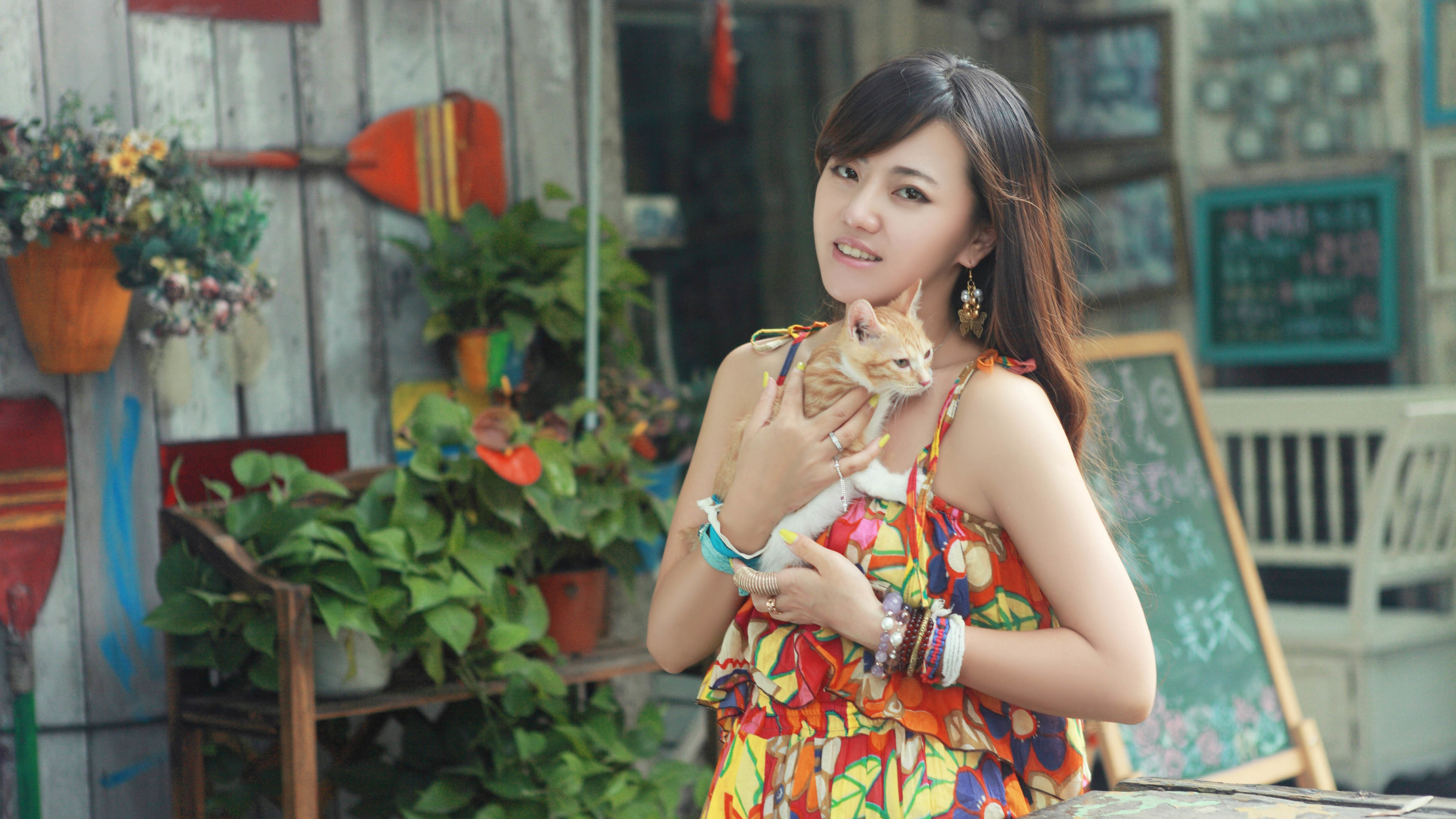 清新美女和猫咪