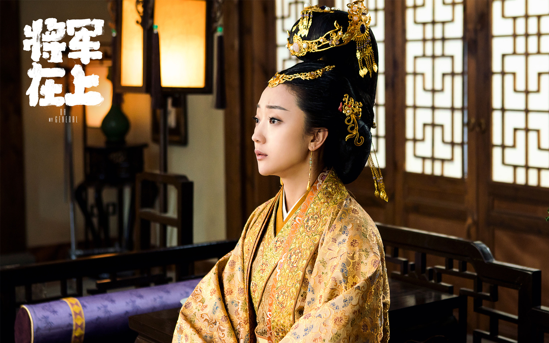 影视 电视剧 将军在上