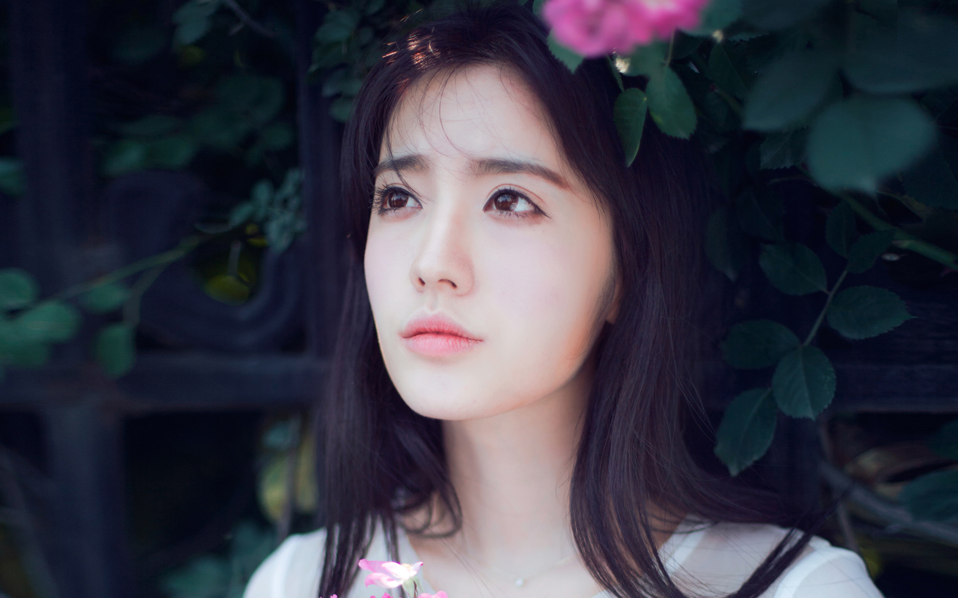 美女 清纯 治愈 文艺