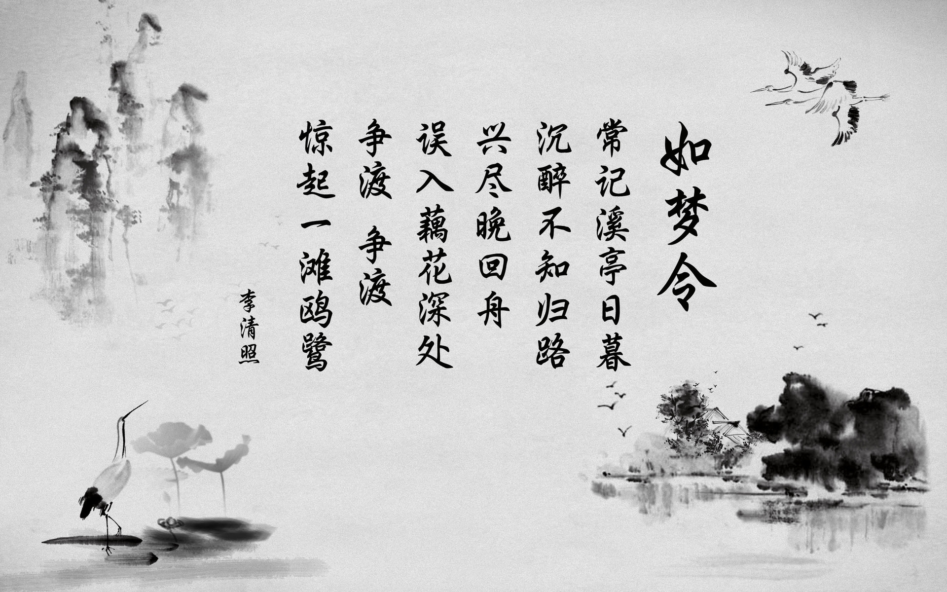 文字 诗词 李清照 如梦令 中国风