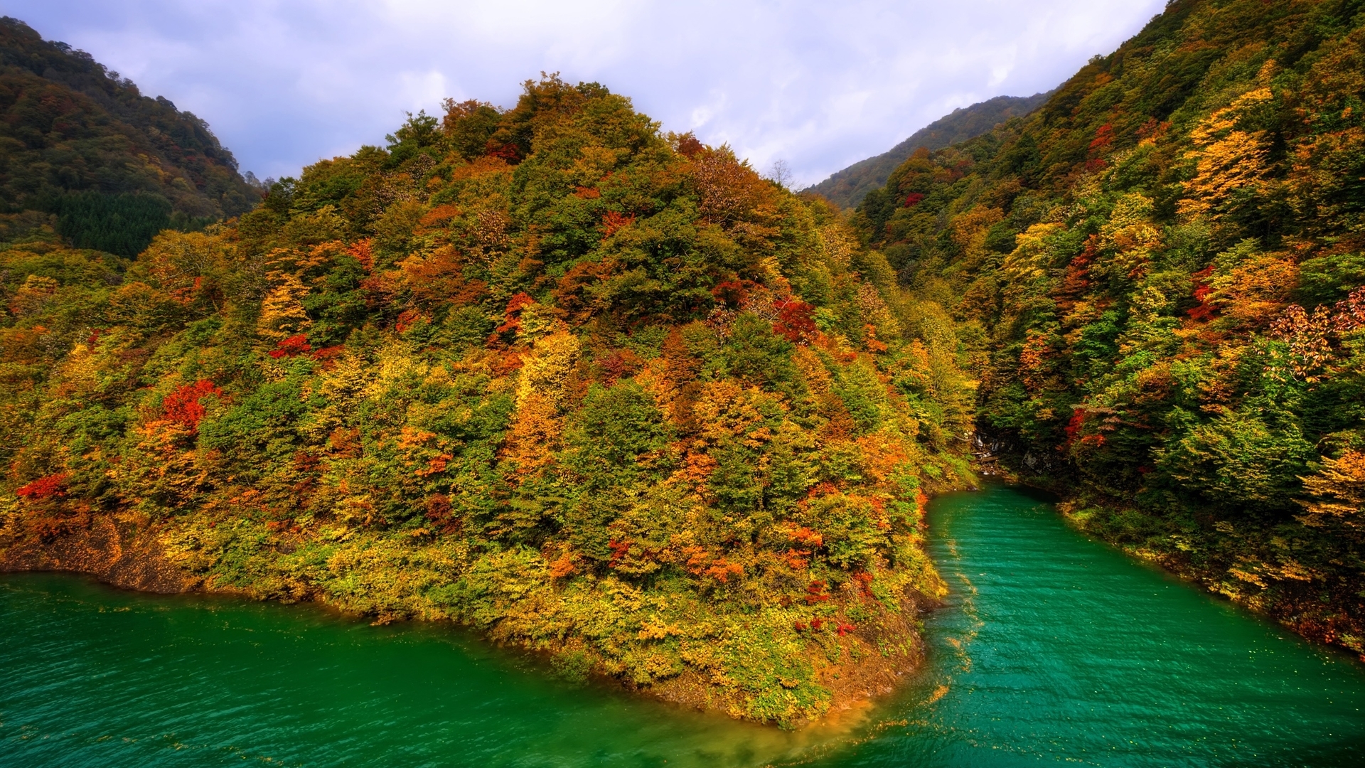 风景 秋意正浓 森林