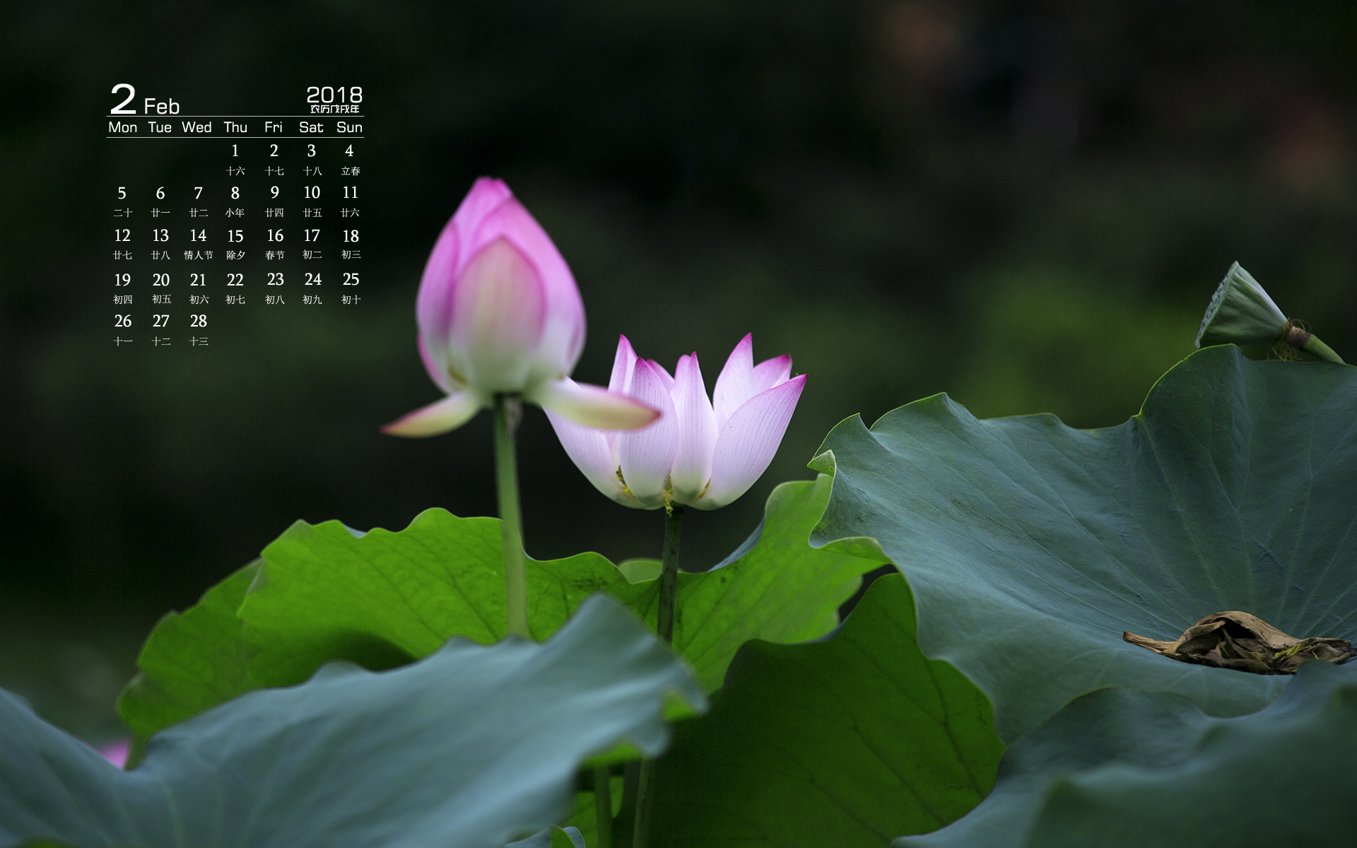 月历 2018年2月