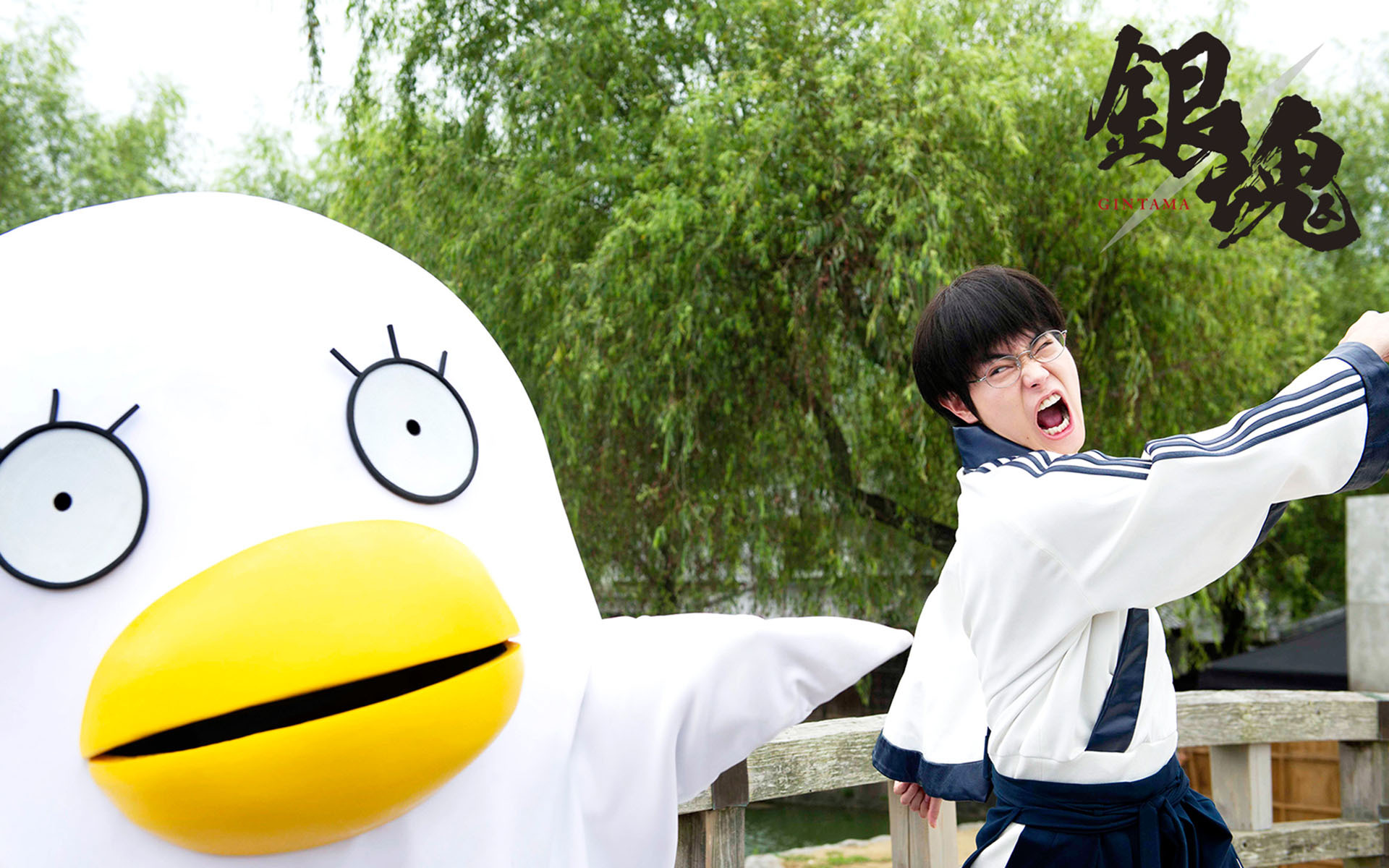 影视 电影 银魂