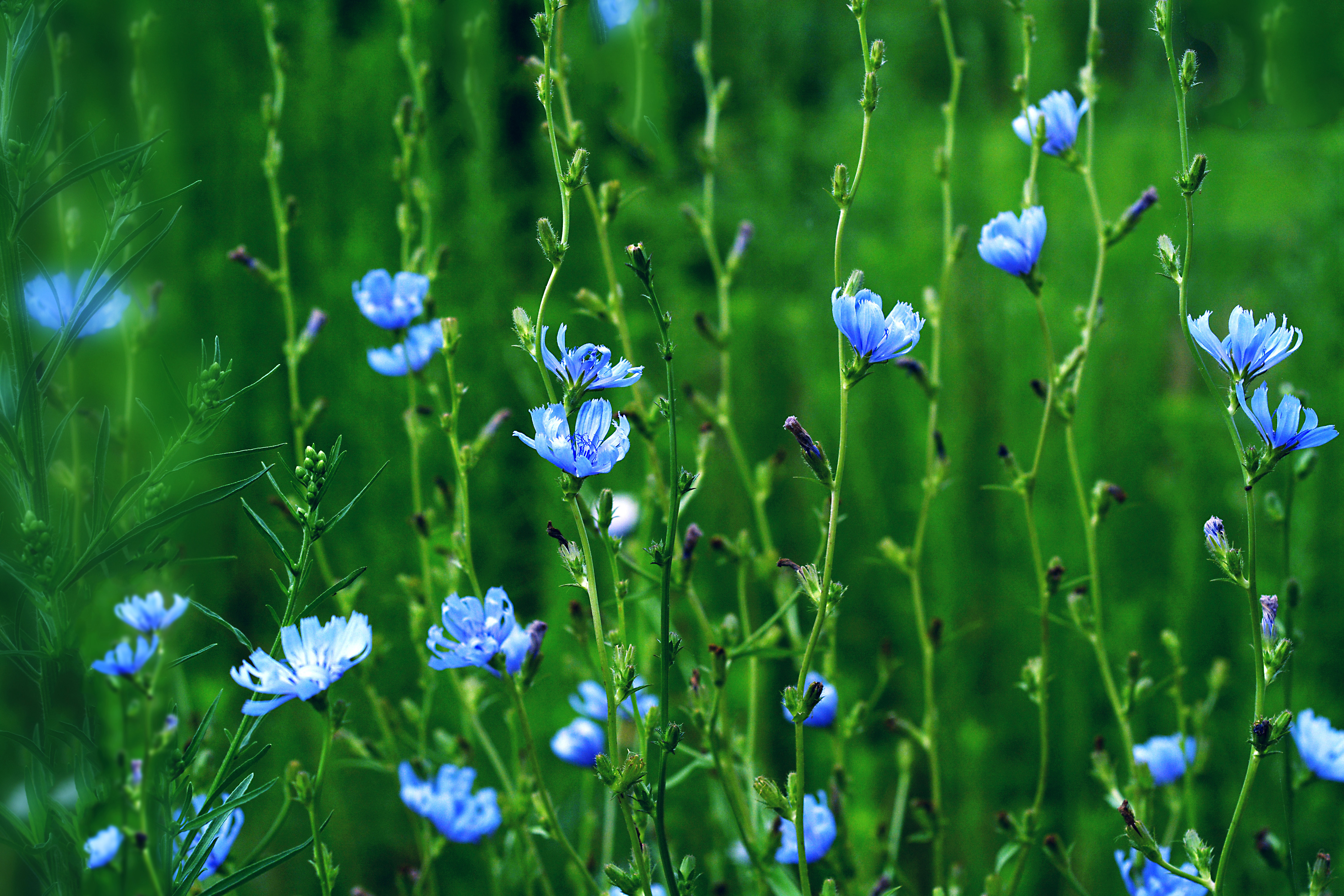 风景 护眼 4K专区