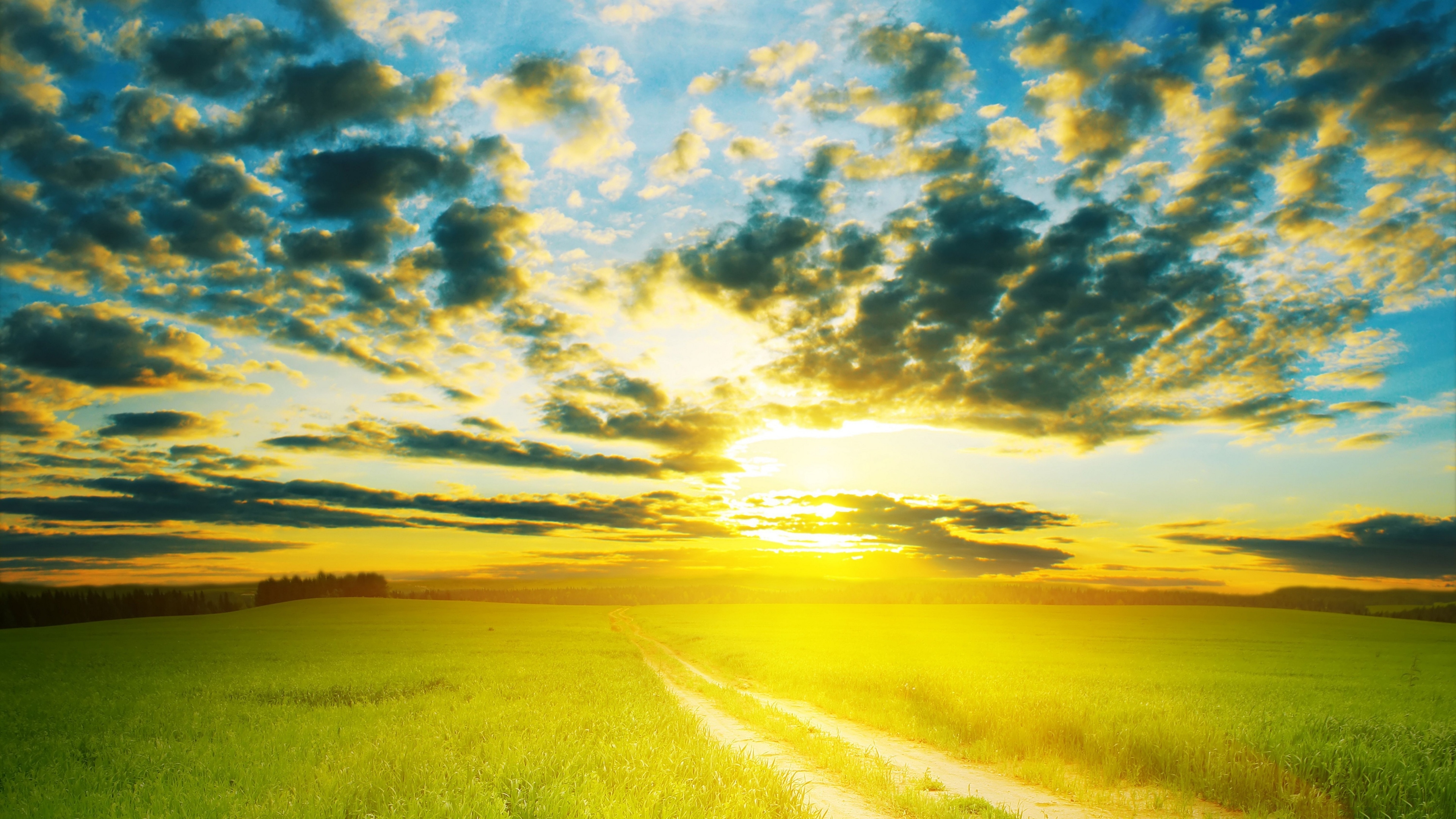 秋意正浓 麦田 阳光