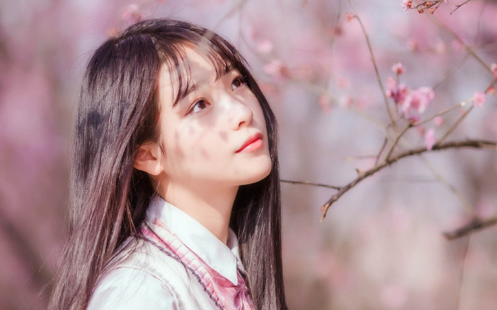 文艺古风 唯美 日系 桃花