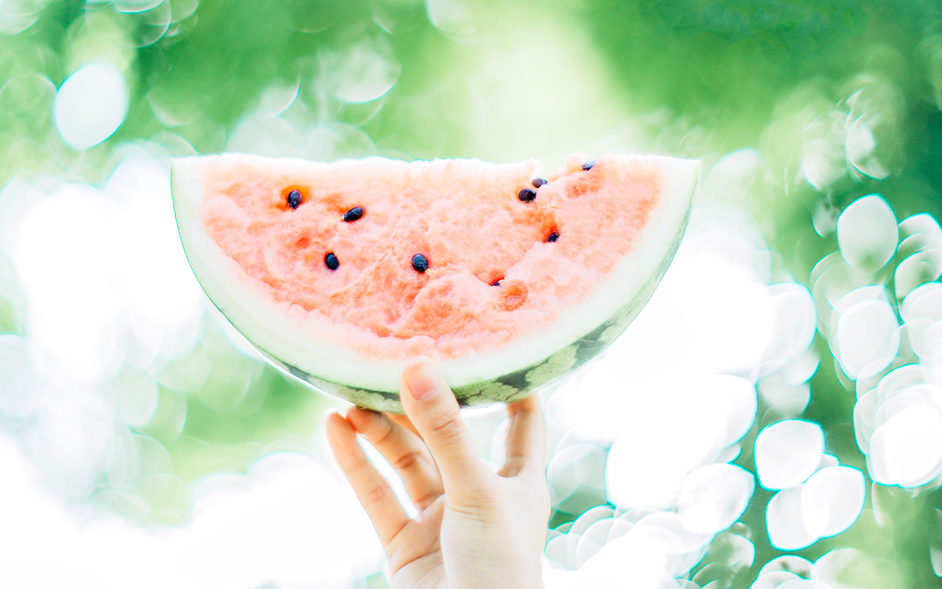 静物写真 夏日 凉爽 西瓜