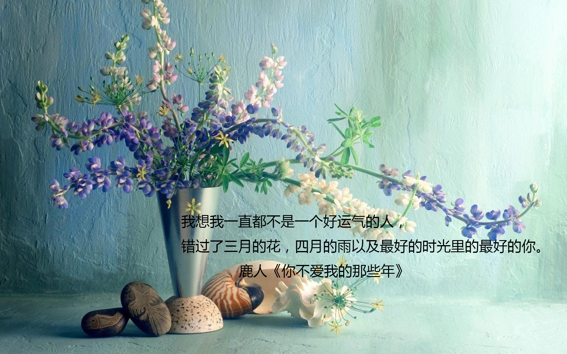 文字 语录 鹿人