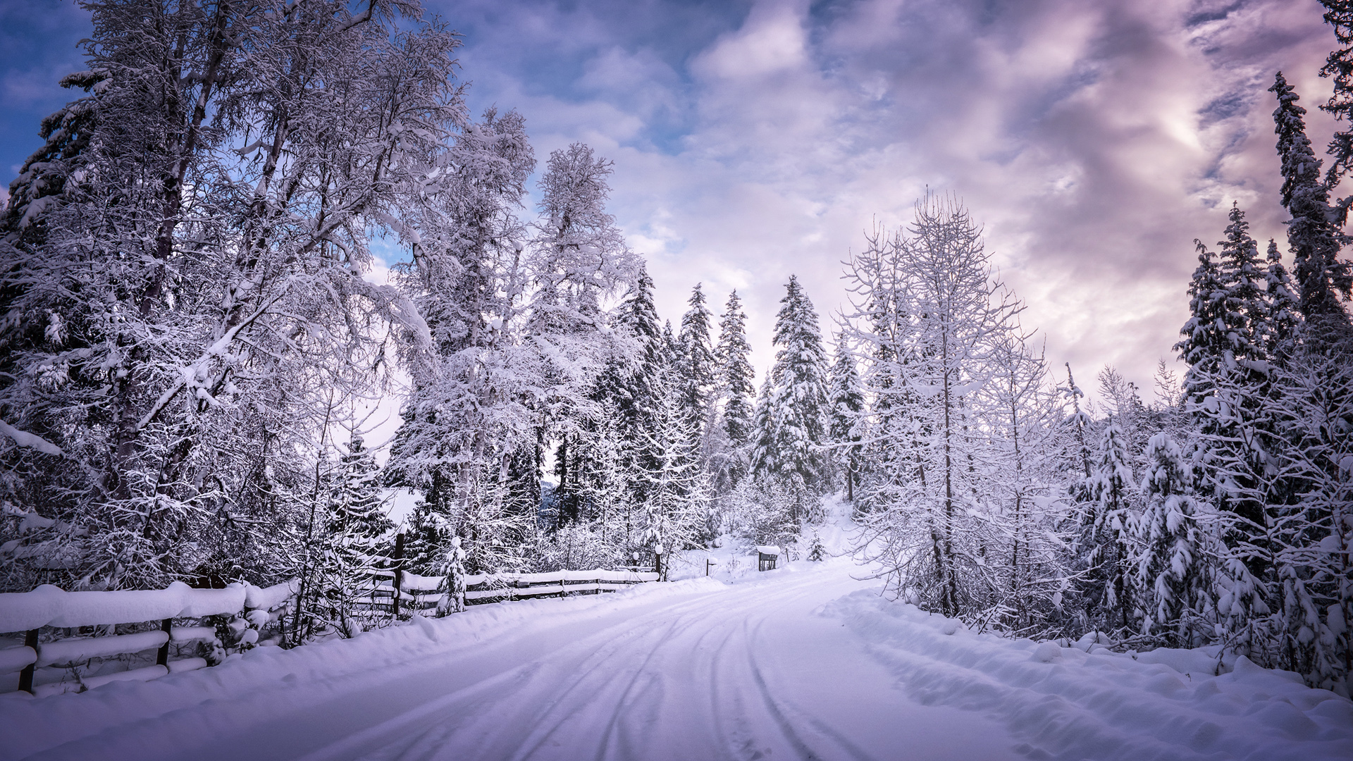 风景 冰天雪地 雪景