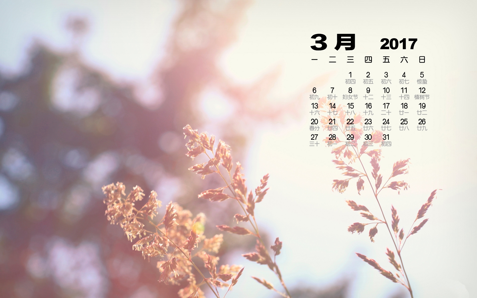 2017年3月 小清新