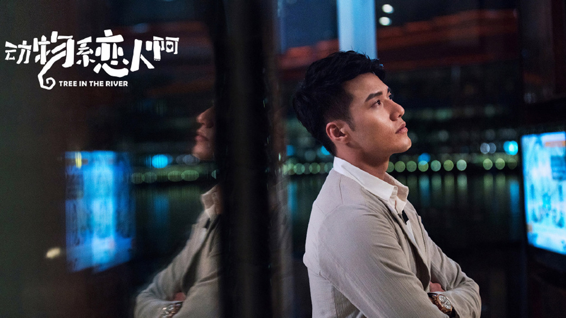 影视 电视剧 动物系恋人啊