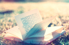 小清新 书 静物写真 儿童桌面专用