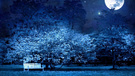 风景 夜空 儿童桌面专用