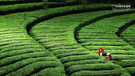 风景 国家地理 摄影 风光 风景 自然风光 儿童桌面专用