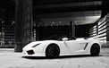Lamborghini 兰博基尼 汽车 跑车  2012Y十一月03D 儿童桌面专用