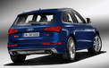 奥迪 audi sq5 奥迪SQ5 TDI aud 2012Y十一月21D 儿童桌面专用