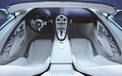Bugatti Veyron 布加迪 白金 跑车 汽车 宽屏  2012Y十月31D 儿童桌面专用