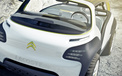 Citroen 雪铁龙 汽车 宽屏  2012Y十月31D 儿童桌面专用