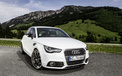 奥迪 Audi 轿车 Audi ABT AS1 Sportback 2012Y十一月21D 儿童桌面专用