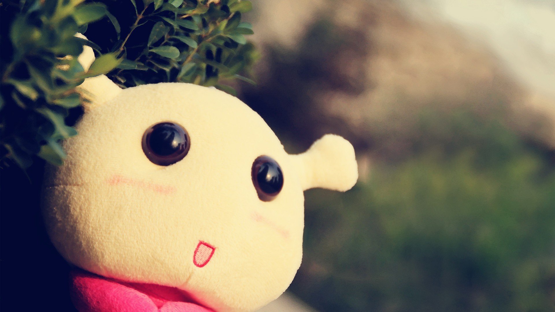 小清新 意境 LOMO 非主流 儿童桌面专用