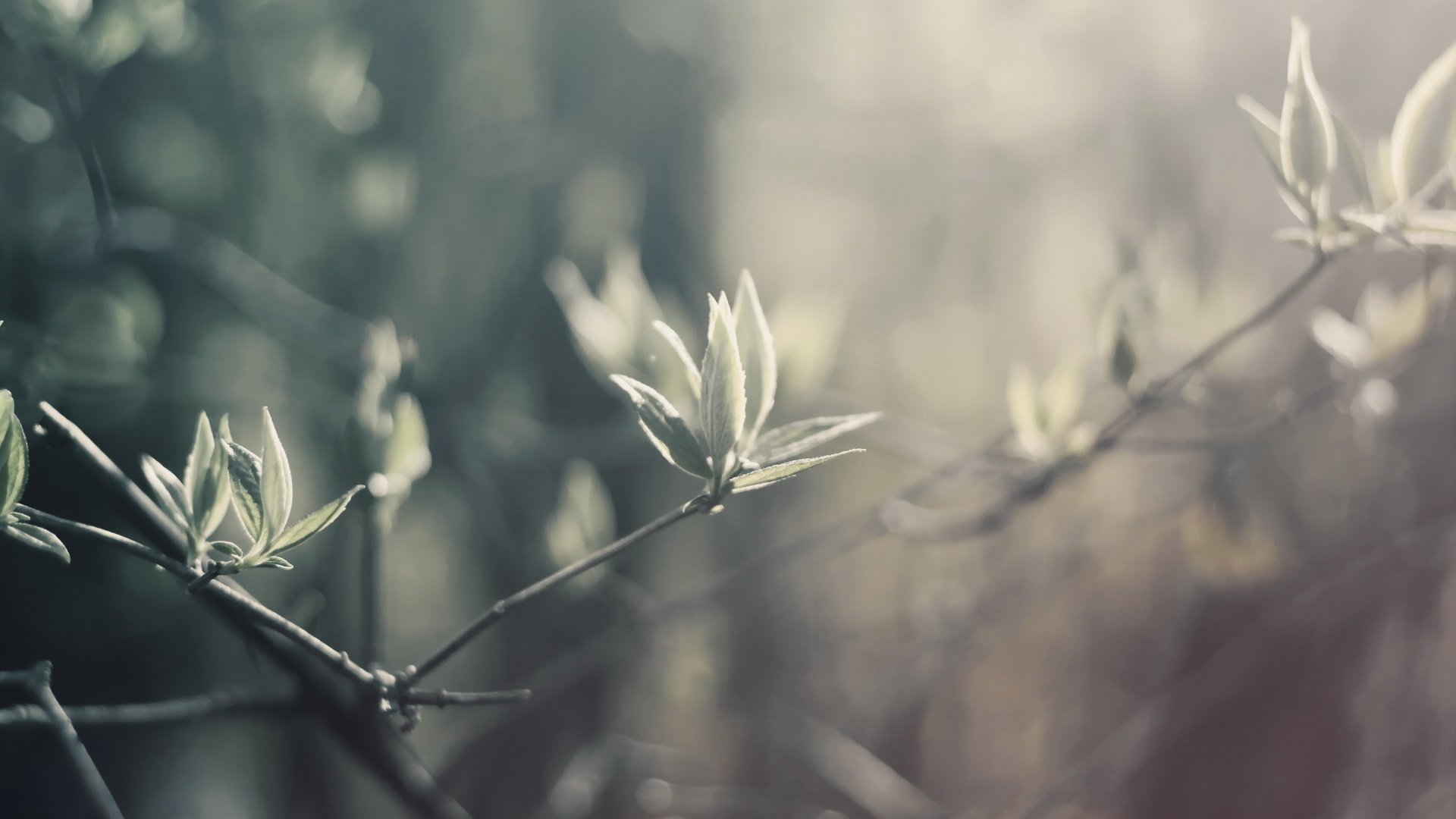 小清新 意境 摄影 非主流