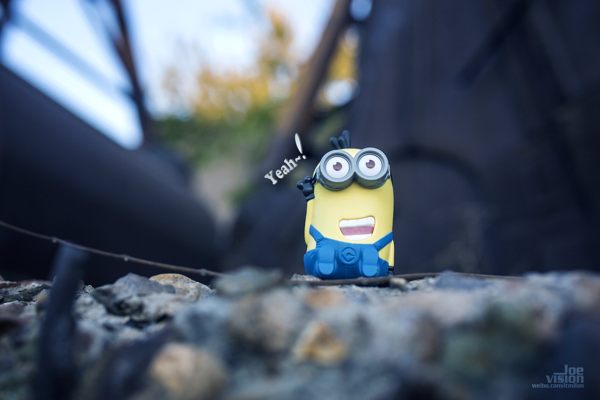 电影 卑鄙的我 神偷奶爸 小黄人 摄影 小黄人专辑