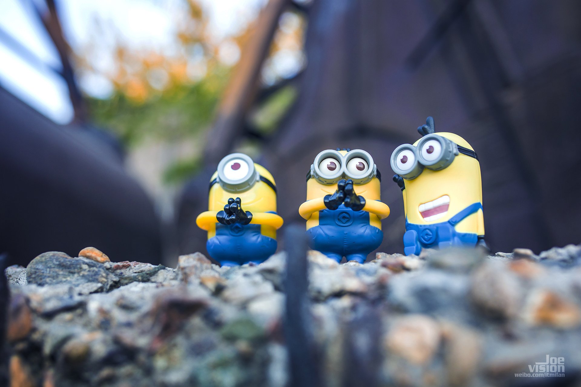 电影 卑鄙的我 神偷奶爸 小黄人 摄影 小黄人专辑