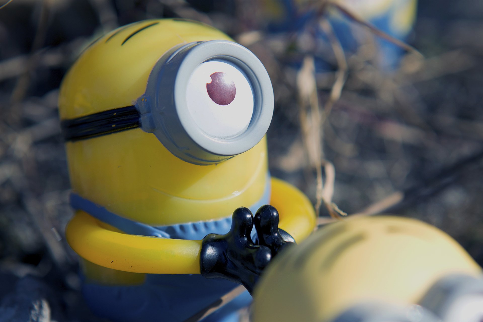 电影 卑鄙的我 神偷奶爸 小黄人 摄影 小黄人专辑