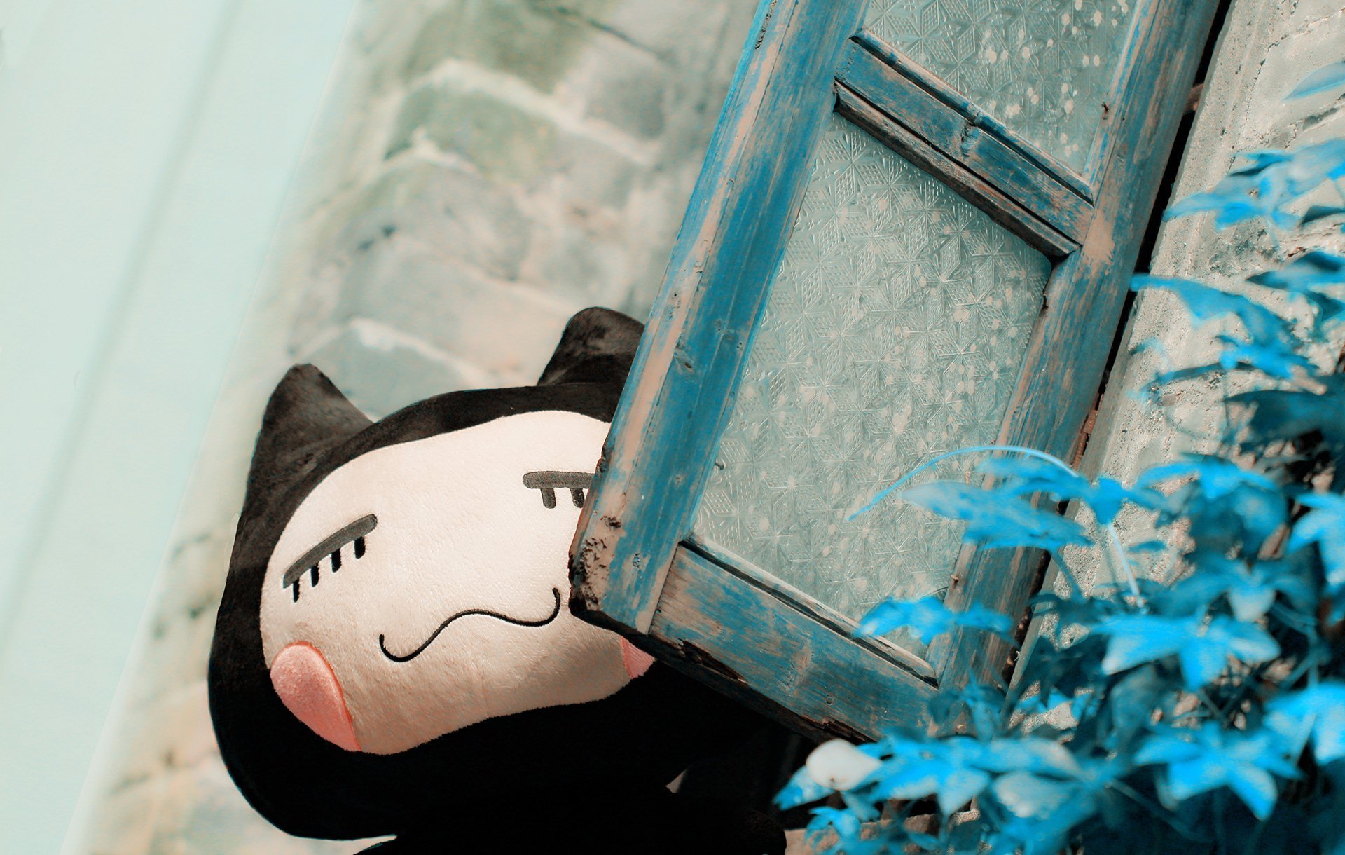 小左小右 小清新 摄影 儿童桌面专用