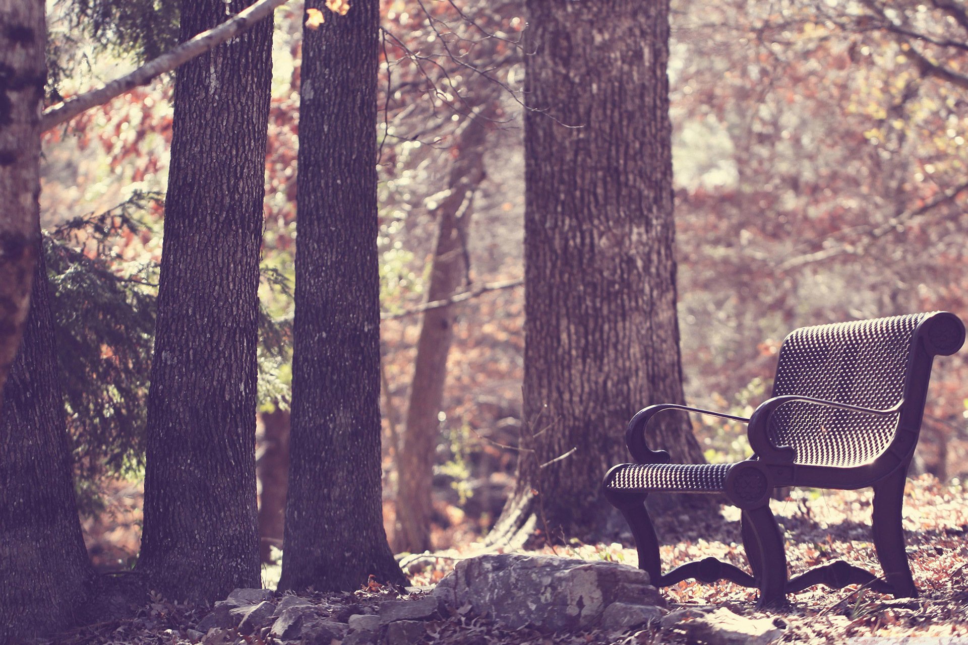 小清新 LOMO 摄影 静物 非主流 文艺