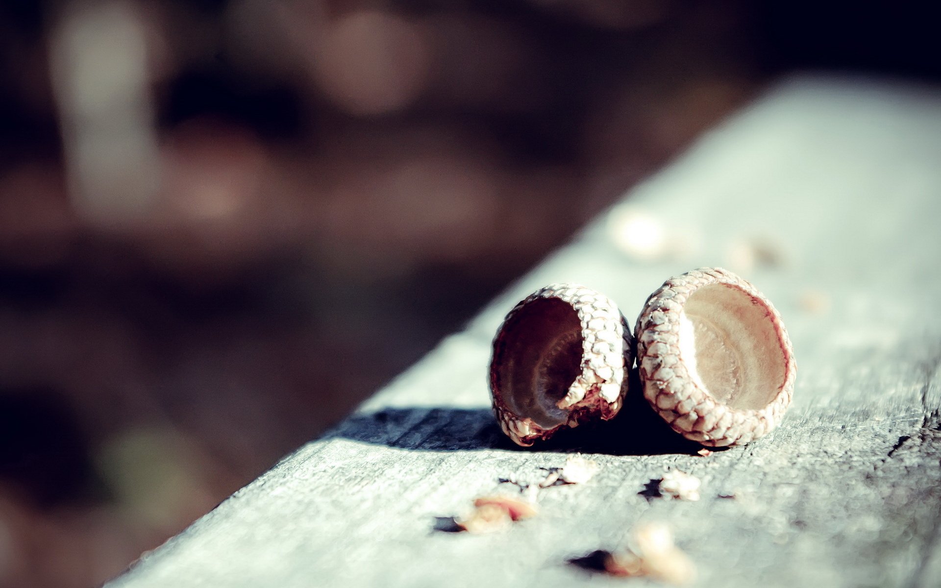 小清新 LOMO 意境 非主流 日系 儿童桌面专用