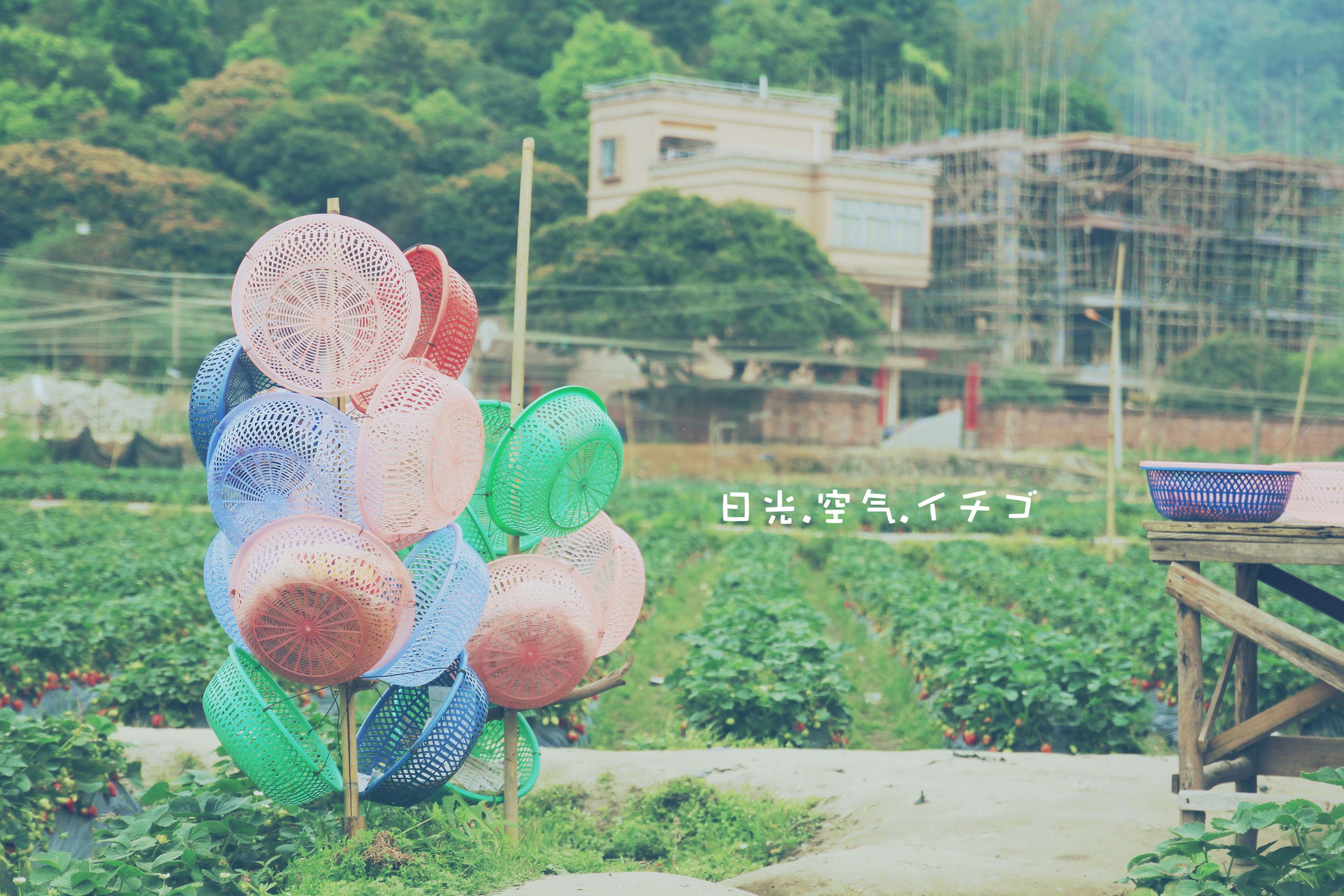 风景 景色 儿童桌面专用